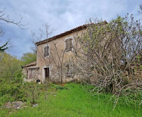 Fabulous estate in Istria on 25 hectares of land - pic 12