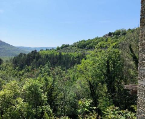 Egy kő mesebeli villa a természetben Motovun romantikus külvárosában! - pic 69