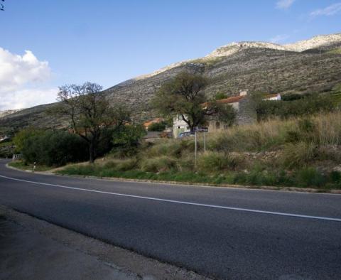 Combination of building and agro land on Peljesac- 1st line to the sea - pic 6