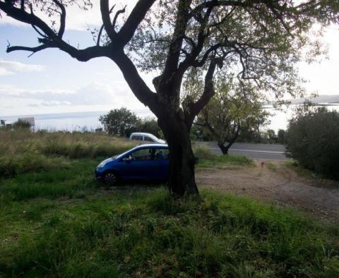 Combination of building and agro land on Peljesac- 1st line to the sea - pic 8