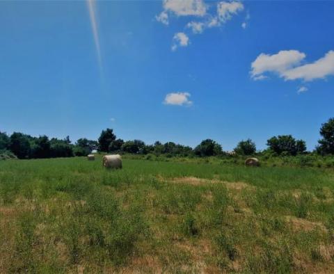 Spacious land plot in Kanfanar, 10.000m2 - pic 4