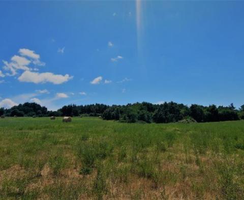 Spacious land plot in Kanfanar, 10.000m2 - pic 5