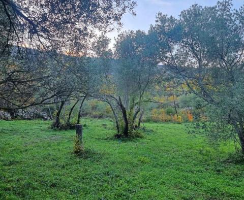 Grundstück mit Baugenehmigung in Rabac, Labin - foto 4