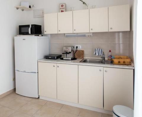 Luxuriously renovated apartment within Diocletian Palaca of Split - great for renting - pic 4