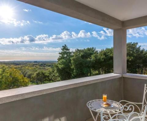 Wunderschöne Villa in Višnjan mit Meerblick, die ihr Geld wirklich wert ist - foto 6