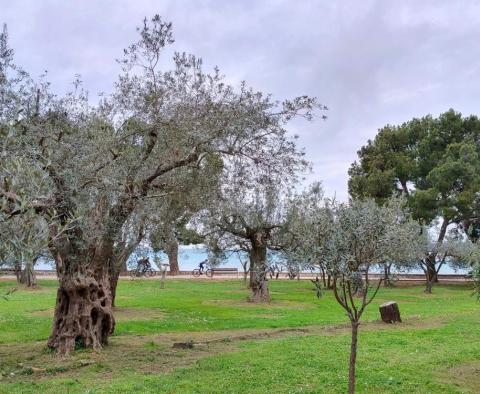 Einzigartiges Stadtgrundstück zum Verkauf in Fažana, 50 m vom Strand entfernt - foto 18