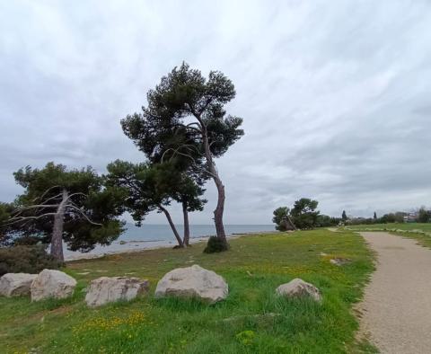 Einzigartiges Stadtgrundstück zum Verkauf in Fažana, 50 m vom Strand entfernt - foto 49