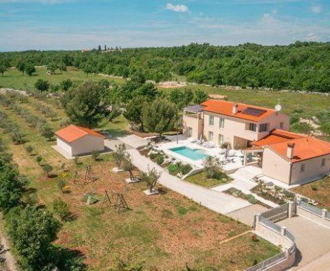 Belle villa de luxe avec oliveraie de 5800 m². dans la région de Vodnjan - pic 53