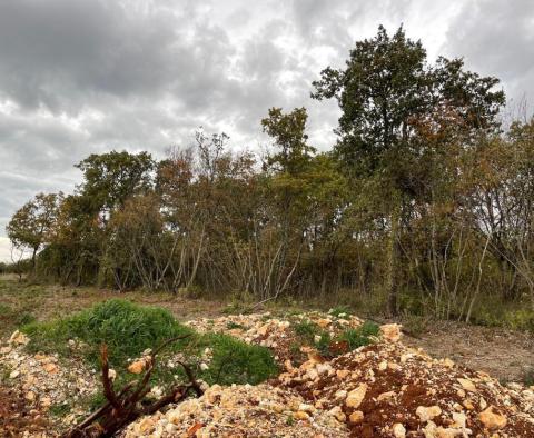 Drei Luxusvillen in der Gegend von Kastelir in der Region Porec mit weitem Meerblick - foto 5