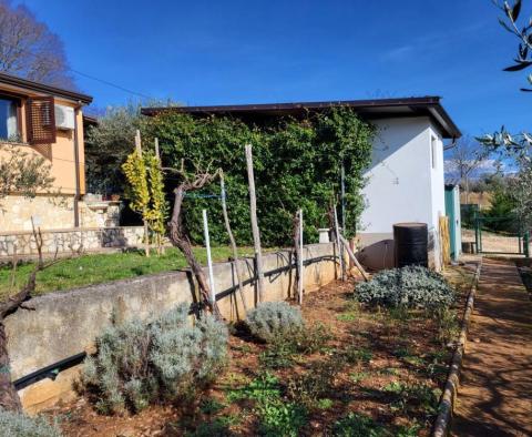 Gemütliches Haus in der Gegend von Buje - foto 4