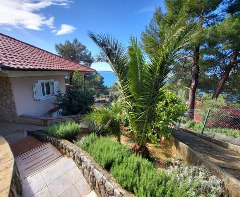 Maison avec vue mer et deux appartements sur l'île romantique de Cres, à 500 mètres de la mer - pic 4