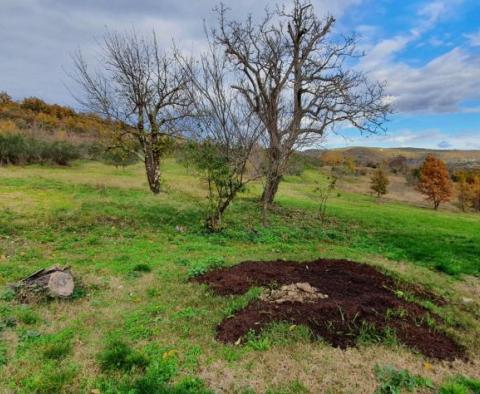 Domaine unique à vendre à Grožnjan sur 114.440 m2 de terrain - pic 8