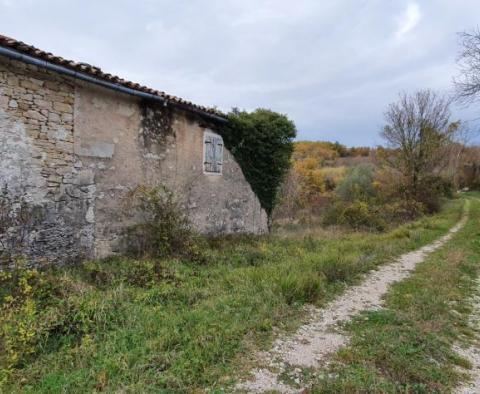 Domaine unique à vendre à Grožnjan sur 114.440 m2 de terrain - pic 30