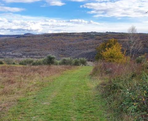 Domaine unique à vendre à Grožnjan sur 114.440 m2 de terrain - pic 55