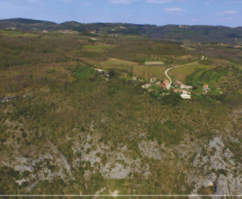 Domaine unique à vendre à Grožnjan sur 114.440 m2 de terrain - pic 57