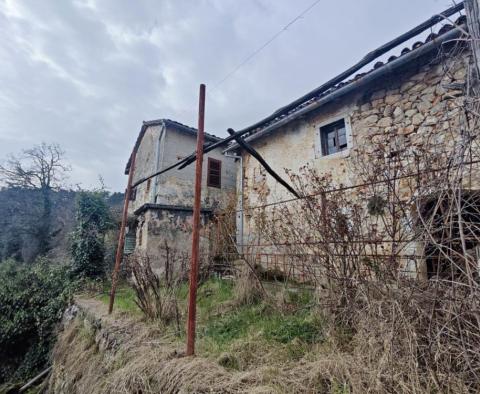 Magnifique domaine à Opatija, Poljane, avec 2 dépendances, 5500 m2 de terrain, vue panoramique ! - pic 3