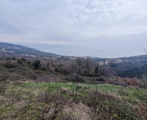 Magnifique domaine à Opatija, Poljane, avec 2 dépendances, 5500 m2 de terrain, vue panoramique ! - pic 7