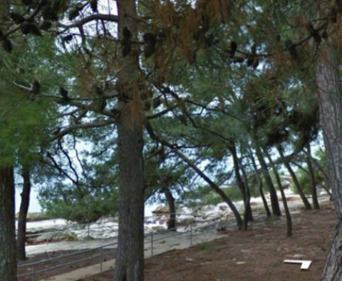 Unique urbanized land plot in Umag area 60 meters from the sea - pic 4