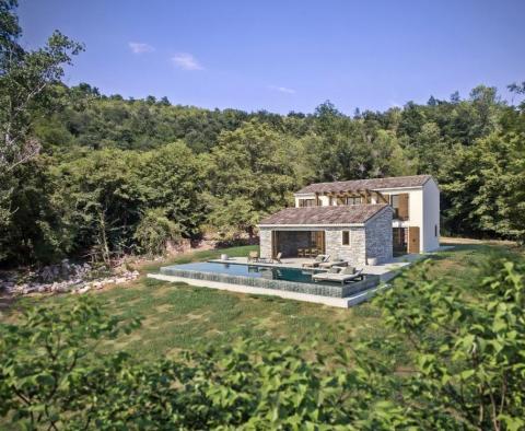  Une maison dans un décor de conte de fées à Buzet - pic 2