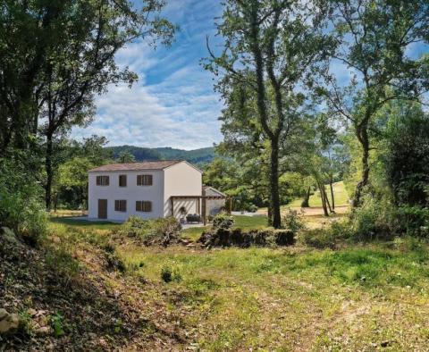  Une maison dans un décor de conte de fées à Buzet - pic 3