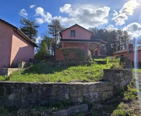 Fantastic estate in Buzet with 4 residential buildings and one business-residential building, open view of nature and the lake - pic 67