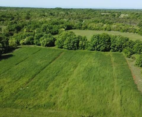 Vila ve výstavbě v Svetvinčenat - dvě podobné vily na prodej poblíž - pic 29