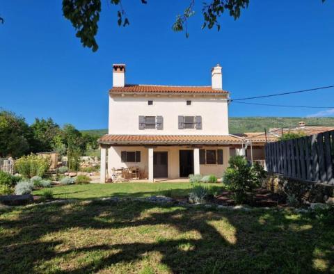 Un domaine magique avec deux maisons près de la mer dans la région de Rabac - pic 2