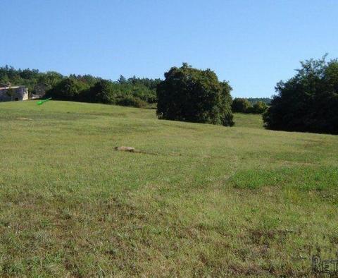 Land  plot of over 1 hectare in surface in Novaki Motovunski, Karojba - pic 3