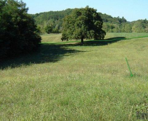 Land  plot of over 1 hectare in surface in Novaki Motovunski, Karojba - pic 4