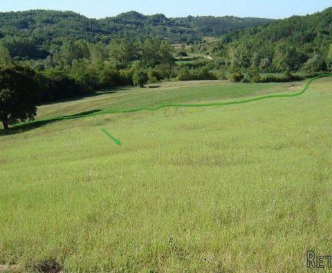 Land  plot of over 1 hectare in surface in Novaki Motovunski, Karojba - pic 5