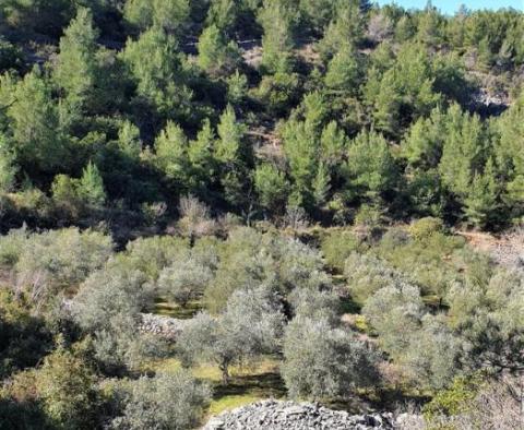 Agricultural land plot for sale 24.000 sqm with a 60 sqm stone object in Jelsa area on Hvar island - pic 3