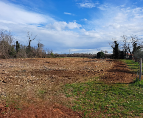 Rare urban land for sale in Umag area, mere 500 meters from the sea 