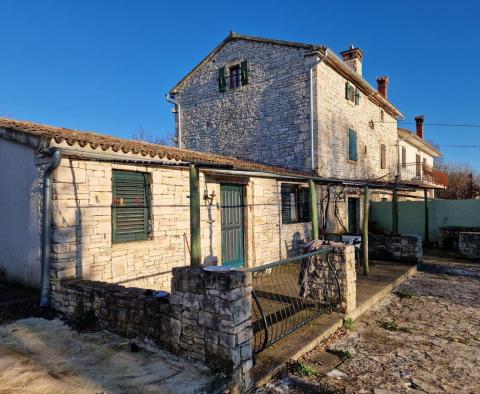 Stone house with two residential units in Svetvincenat 