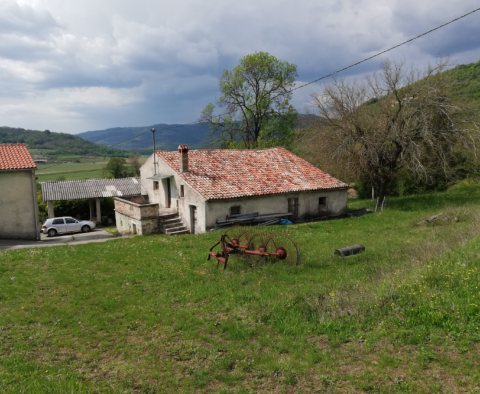 Tágas terep Motovun területén 