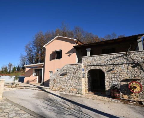 Stone house with tavern in nature in Pazin 