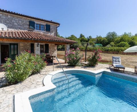 Villa individuelle en pierre avec piscine dans la région de Labin, à vendre 