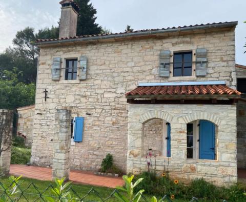 Grand domaine à Novigrad, sur 15.000 m2 de terrain, à vendre 