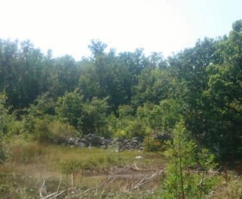 Agricultural land for sale in Ripenda Kras in Labin area, 56.000m2 