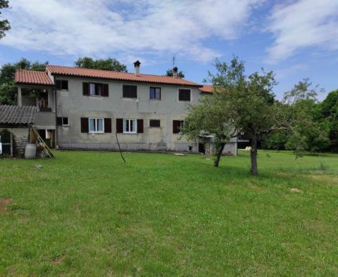 Large estate in Katoro area of Umag just 500 meters from the sea, land plot of 7357 sq.m. 