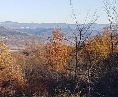 Grundstück mit Panoramablick in Vižinada, 5.261m2 