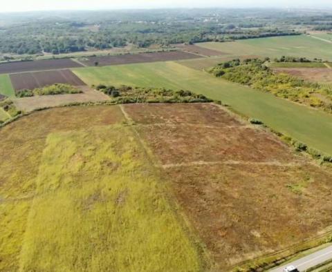 Na sprzedaż przestronna działka rolna w okolicy Buje o powierzchni 83.917m2 