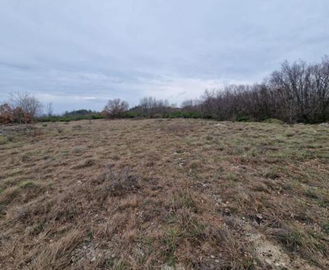 Agro land in Labin are, cca.2 hectares 