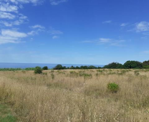 Land for sale of T2 purpose in Savudrija, Umag, 11.677m2 just 200m from the sea! 