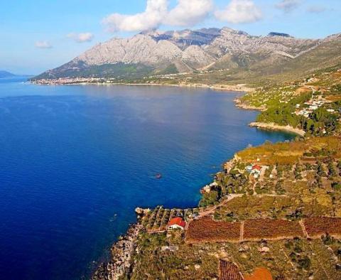 Combination of building and agro land on Peljesac- 1st line to the sea 