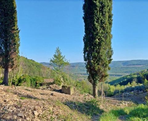 Picturesque estate in Grožnjan on 7458 sq.m. of land 