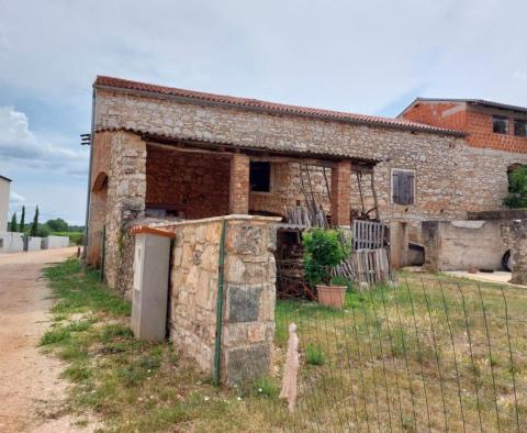 House in Brtonigla 