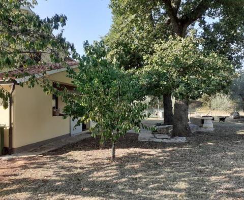 House in Bužinija, Novigrad area 