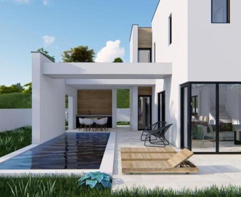 Modernly designed villa with swimming pool in Barbat 