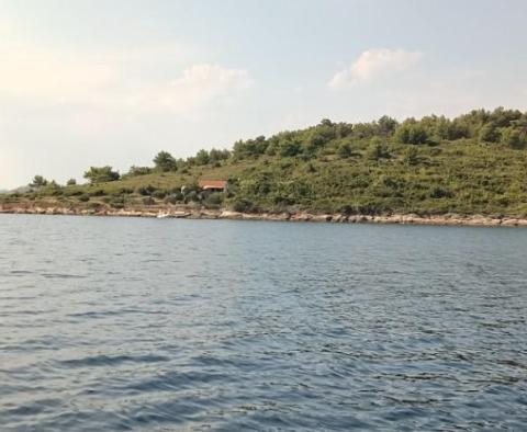 Plus grande partie d'une île verte au sein du magnifique archipel des Kornati 