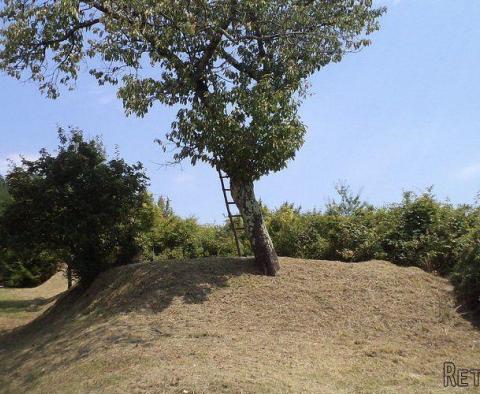 Land  plot of over 1 hectare in surface in Novaki Motovunski, Karojba 